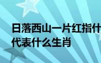 日落西山一片红指什么生肖 日落西山一片红代表什么生肖