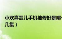 小欢喜磊儿手机被修好是哪一集（小欢喜磊儿手机碎了是第几集）