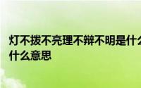 灯不拨不亮理不辩不明是什么句式 灯不拨不亮理不辩不明是什么意思