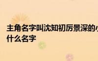 主角名字叫沈知初厉景深的小说 主角是沈知初厉景深小说叫什么名字