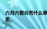 六月六看谷秀什么意思 六月六看谷秀什么意思