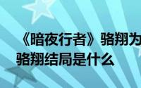 《暗夜行者》骆翔为何要隐姓埋名成为陈陌 骆翔结局是什么