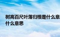 树高百尺叶落归根是什么意思啊 “树高百尺 叶落归根”是什么意思 