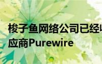 梭子鱼网络公司已经收购了安全软件即服务供应商Purewire