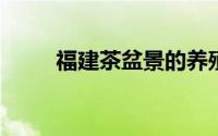 福建茶盆景的养殖方法和注意事项