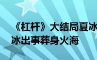 《杠杆》大结局夏冰和萧剑联手抓捕龙哥 夏冰出事葬身火海