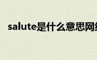 salute是什么意思网络 salute是什么意思 