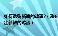 如何选购新鲜的鸡蛋?（涨知识啦~如何在一堆鸡蛋中挑选购出新鲜的鸡蛋）