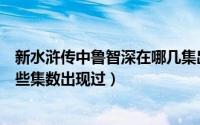 新水浒传中鲁智深在哪几集出现过（新水浒传中鲁智深在哪些集数出现过）