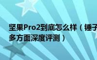 坚果Pro2到底怎么样（锤子坚果Pro2配置、外观、系统等多方面深度评测）