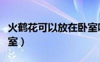 火鹤花可以放在卧室吗（火鹤花能不能放在卧室）