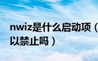 nwiz是什么启动项（电脑启动项里的nwiz可以禁止吗）