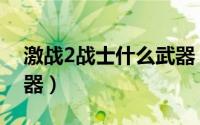 激战2战士什么武器（游戏激战2战士什么武器）