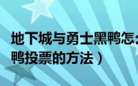 地下城与勇士黑鸭怎么投票（地下城与勇士黑鸭投票的方法）