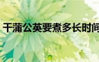 干蒲公英要煮多长时间（干蒲公英要煮多久）