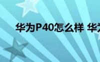 华为P40怎么样 华为P40的四曲满溢屏