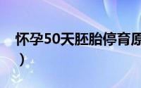 怀孕50天胚胎停育原因（怀孕50天胚胎多大）