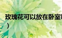 玫瑰花可以放在卧室吗（玫瑰花能放在卧室吗）