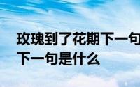 玫瑰到了花期下一句搞笑回答 玫瑰到了花期下一句是什么 