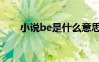 小说be是什么意思（小说be的意思）