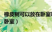 橡皮树可以放在卧室吗（能不能把橡皮树放在卧室）