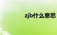 zjb什么意思（zjb的意思）