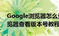 Google浏览器怎么查看版本号（Google浏览器查看版本号教程）