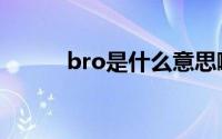 bro是什么意思啊（bro的意思）