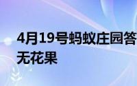 4月19号蚂蚁庄园答案 无花果为什么被叫做无花果