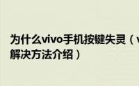 为什么vivo手机按键失灵（vivo手机按键失灵的原因及相应解决方法介绍）