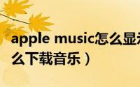 apple music怎么显示中文（apple music怎么下载音乐）