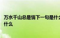 万水千山总是情下一句是什么来的 万水千山总是情下一句是什么 