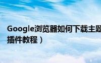 Google浏览器如何下载主题插件（Google浏览器下载主题插件教程）