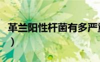 革兰阳性杆菌有多严重（革兰阳性杆菌怎么办）