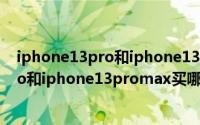 iphone13pro和iphone13promax买哪个（iphone13pro和iphone13promax买哪个好）