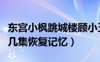 东宫小枫跳城楼顾小五恢复记忆（东宫小枫第几集恢复记忆）