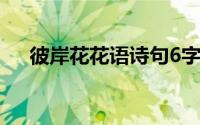 彼岸花花语诗句6字 彼岸花花语是什么 