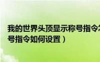 我的世界头顶显示称号指令怎么设置（我的世界头顶显示称号指令如何设置）