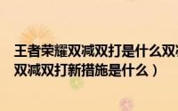 王者荣耀双减双打是什么双减双打措施介绍（王者荣耀开启双减双打新措施是什么）