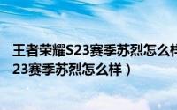 王者荣耀S23赛季苏烈怎么样S23苏烈技能玩法（王者荣耀S23赛季苏烈怎么样）