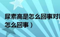 尿素高是怎么回事对肾的伤害大吗（尿素高是怎么回事）