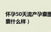 怀孕50天流产孕囊图片（怀孕50天流产后孕囊什么样）