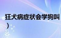 狂犬病症状会学狗叫（狂犬病症状会学狗叫吗）