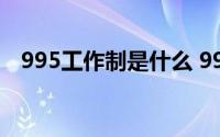 995工作制是什么 995工作制是什么意思 