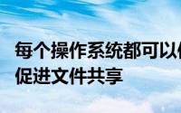 每个操作系统都可以使用Pogoplug客户端来促进文件共享