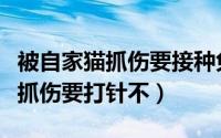 被自家猫抓伤要接种免疫球蛋白吗（被自家猫抓伤要打针不）