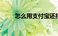 怎么用支付宝还招商信用卡账单呢