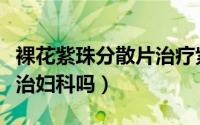 裸花紫珠分散片治疗紫癜吗（裸花紫珠分散片治妇科吗）