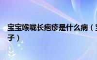 宝宝喉咙长疱疹是什么病（宝宝喉咙长疱疹的症状是什么样子）