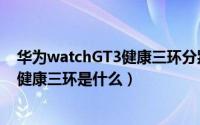 华为watchGT3健康三环分别代表了什么（华为watchGT3健康三环是什么）